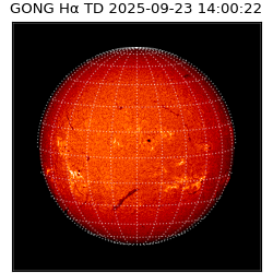gong - 2025-09-23T14:00:22