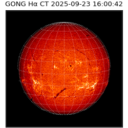 gong - 2025-09-23T16:00:42