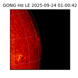 gong - 2025-09-24T01:00:42