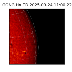 gong - 2025-09-24T11:00:22