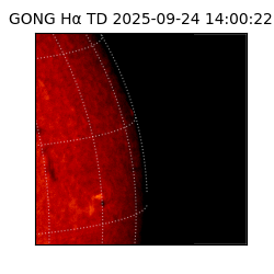 gong - 2025-09-24T14:00:22