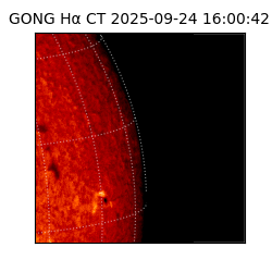 gong - 2025-09-24T16:00:42