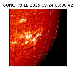 gong - 2025-09-24T03:00:42