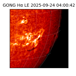 gong - 2025-09-24T04:00:42