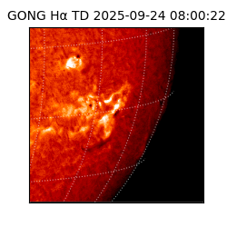 gong - 2025-09-24T08:00:22