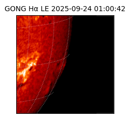gong - 2025-09-24T01:00:42
