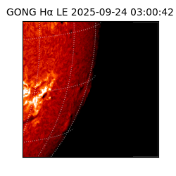 gong - 2025-09-24T03:00:42
