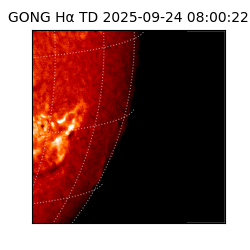 gong - 2025-09-24T08:00:22