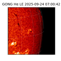 gong - 2025-09-24T07:00:42