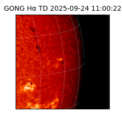 gong - 2025-09-24T11:00:22