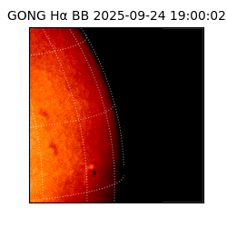 gong - 2025-09-24T19:00:02