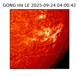 gong - 2025-09-24T04:00:42