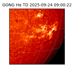 gong - 2025-09-24T09:00:22
