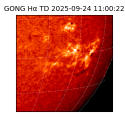 gong - 2025-09-24T11:00:22