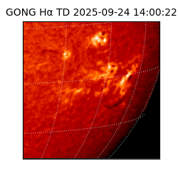 gong - 2025-09-24T14:00:22