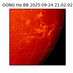 gong - 2025-09-24T21:02:02