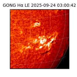 gong - 2025-09-24T03:00:42