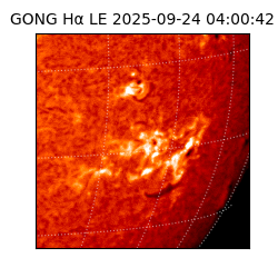 gong - 2025-09-24T04:00:42