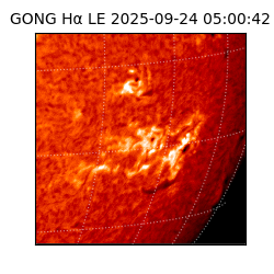 gong - 2025-09-24T05:00:42