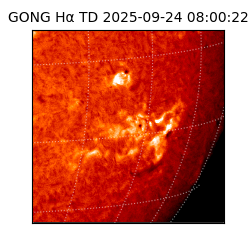 gong - 2025-09-24T08:00:22