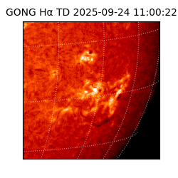 gong - 2025-09-24T11:00:22