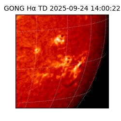 gong - 2025-09-24T14:00:22