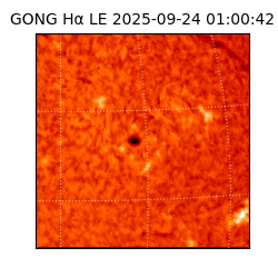 gong - 2025-09-24T01:00:42