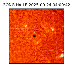 gong - 2025-09-24T04:00:42