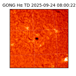 gong - 2025-09-24T08:00:22