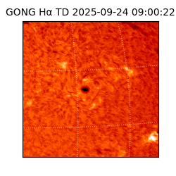 gong - 2025-09-24T09:00:22