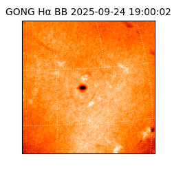 gong - 2025-09-24T19:00:02