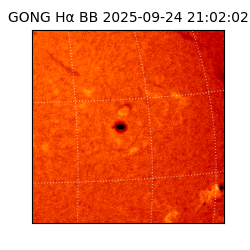 gong - 2025-09-24T21:02:02