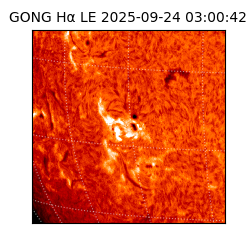 gong - 2025-09-24T03:00:42