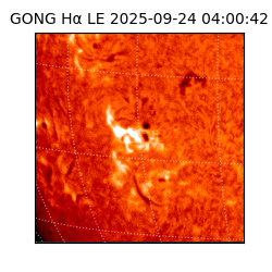 gong - 2025-09-24T04:00:42