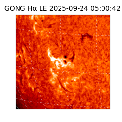 gong - 2025-09-24T05:00:42