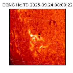 gong - 2025-09-24T08:00:22