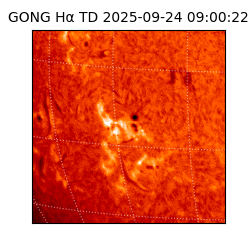 gong - 2025-09-24T09:00:22