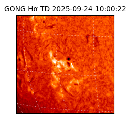 gong - 2025-09-24T10:00:22