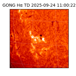 gong - 2025-09-24T11:00:22