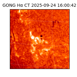 gong - 2025-09-24T16:00:42