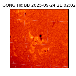 gong - 2025-09-24T21:02:02