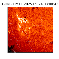 gong - 2025-09-24T03:00:42