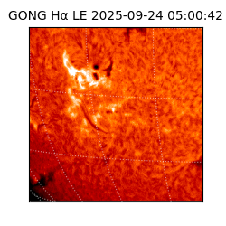 gong - 2025-09-24T05:00:42