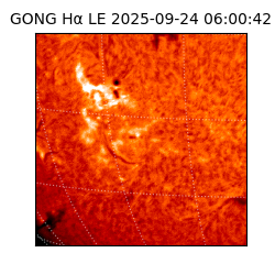 gong - 2025-09-24T06:00:42