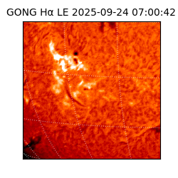 gong - 2025-09-24T07:00:42