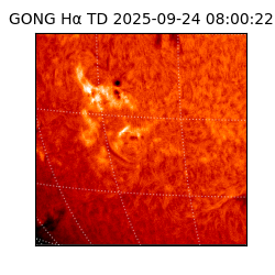 gong - 2025-09-24T08:00:22