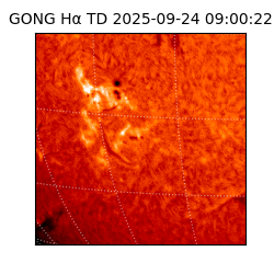 gong - 2025-09-24T09:00:22