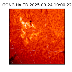 gong - 2025-09-24T10:00:22