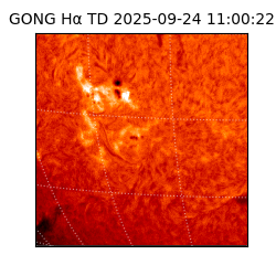 gong - 2025-09-24T11:00:22