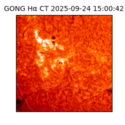 gong - 2025-09-24T15:00:42